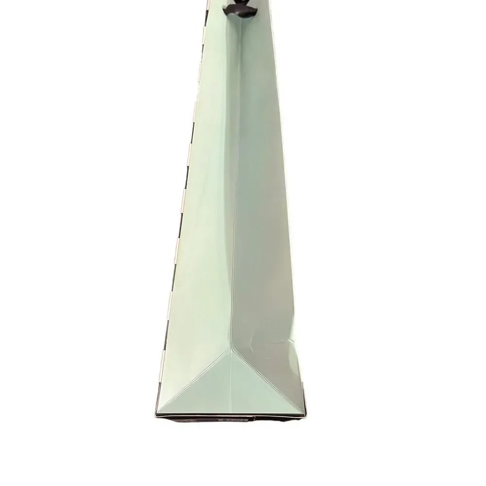 Pack Of Heavy Paper Cheers Wine Gift Bag Set Of 10 Pink Mint Green Black White S